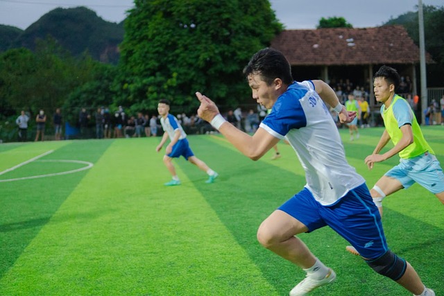 菲尼克斯太